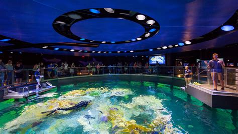 Aquarium boston - New England Aquarium, Boston, Massachusetts. 207,182 likes · 3,732 talking about this · 705,830 were here. The Aquarium is now open! Purchase tickets in...